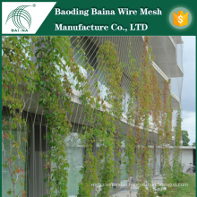 Green plant climbing stainless steel wire rope mesh for sale